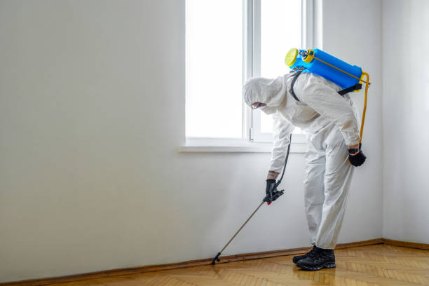 Best Exterminator Services  in Rlborough, MA